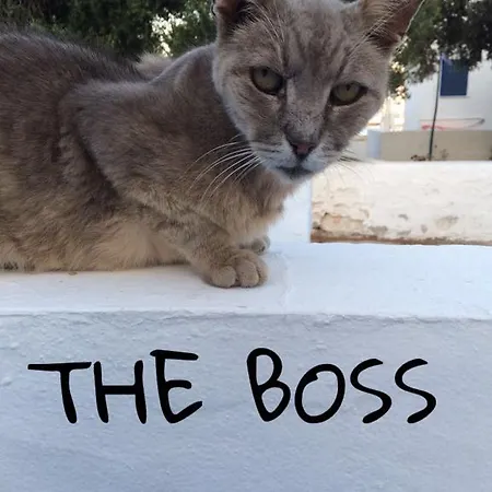 アパート Jorgos ポロニア